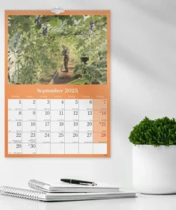 Väggkalender 2025 Klassiska Sverige