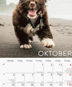 Väggkalender 2026 Liten Hundkalender
