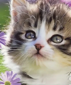 Väggkalender 2026 Liten Kattkalender