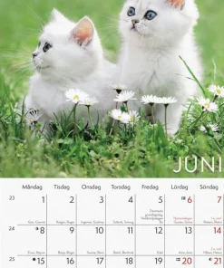 Väggkalender 2026 Liten Kattkalender