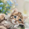 Väggkalender 2025 Liten Kattkalender