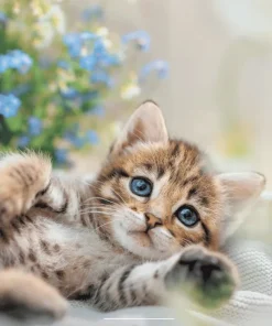 Väggkalender 2025 Liten Kattkalender