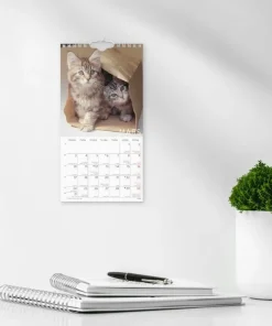 Väggkalender 2025 Liten Kattkalender