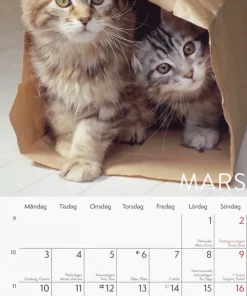 Väggkalender 2025 Liten Kattkalender
