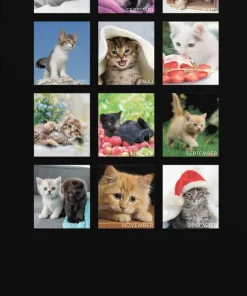 Väggkalender 2025 Liten Kattkalender