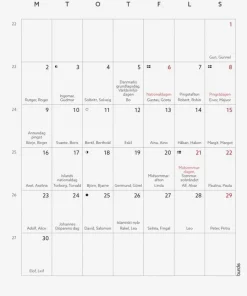 Väggkalender 2025 Mini
