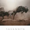 Väggkalender 2026 Savannen