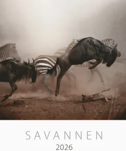 Väggkalender 2026 Savannen