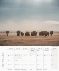 Väggkalender 2026 Savannen