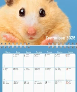 Väggkalender 2026 Sötnosar