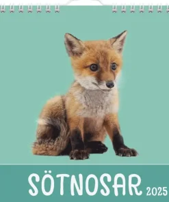 Väggkalender 2025 Sötnosar