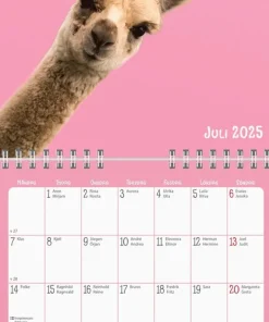 Väggkalender 2025 Sötnosar