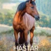 Väggkalender 2026 Stora Hästkalendern