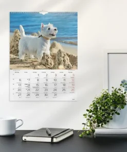 Väggkalender 2026 Stora Hundkalendern