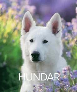 Väggkalender 2025 Stora Hundkalendern