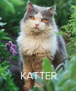 Väggkalender 2026 Stora Kattkalendern