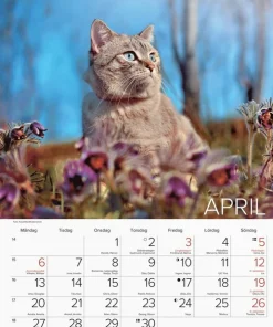 Väggkalender 2026 Stora Kattkalendern