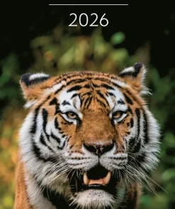 Väggkalender 2026 Wild animals