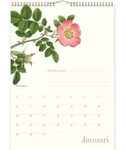 Väggkalender 2026 Wildflower Evighet