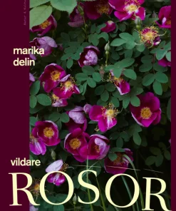 Vildare rosor