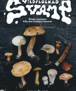 Vildplockad svamp
