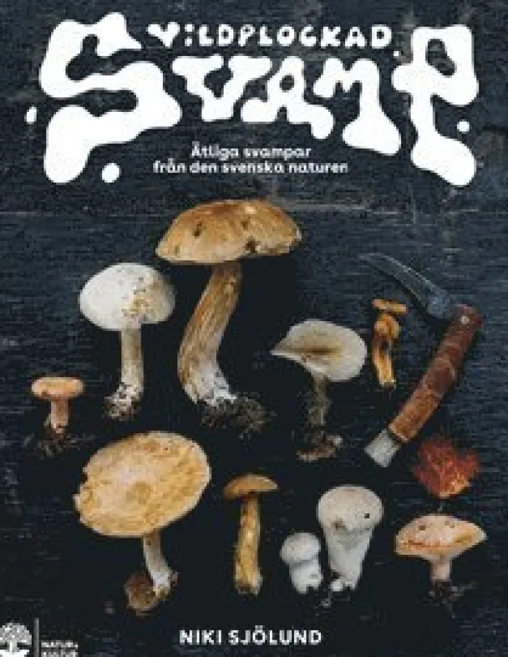 Vildplockad svamp