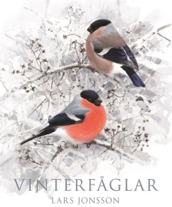 Vinterfåglar