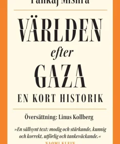 Världen efter Gaza : en kort historik