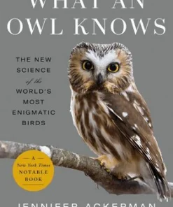 What an Owl Knows