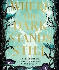 Where the Dark Stands Still